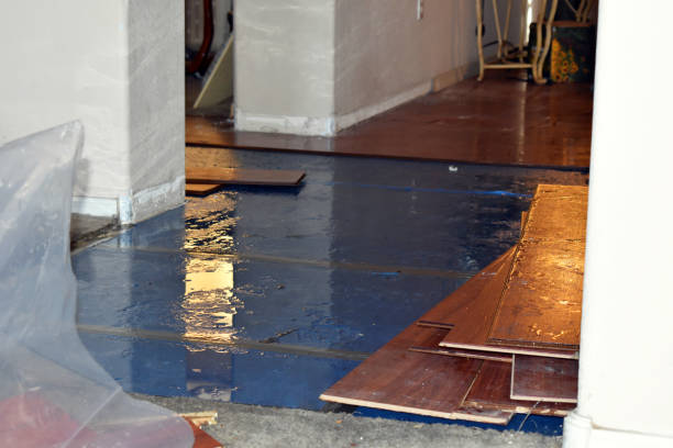 Professional Water Damage Restoration technician working in Jerome, MI